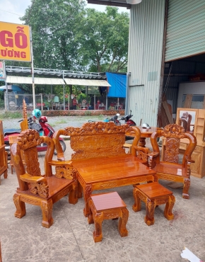 salon tràm bông vàng 