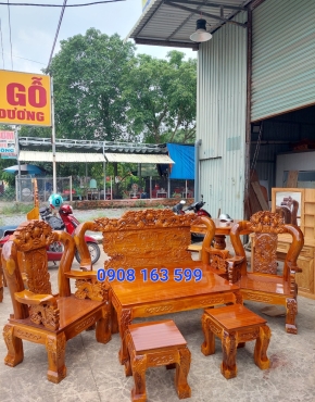 salon tràm bông vàng 
