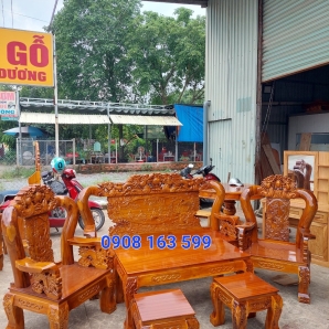 salon tràm bông vàng 